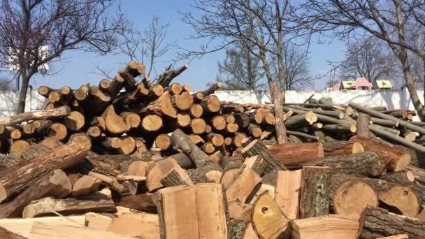 Varios troncos vuelan en una pila de leña picada en un día soleado en cámara lenta — Vídeos de Stock