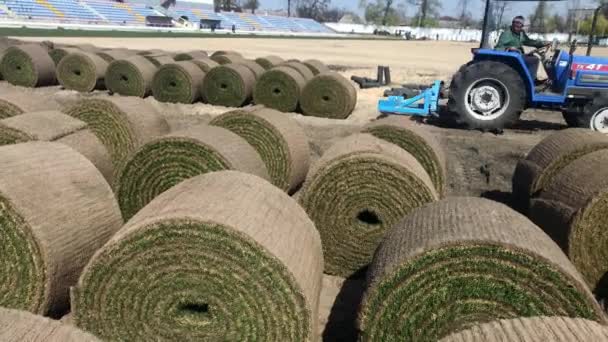 LVIV, UCRÂNIA - 14 de abril de 2019: O processo de colocação de um campo de futebol a partir de laminados de grama natural verde torcida — Vídeo de Stock