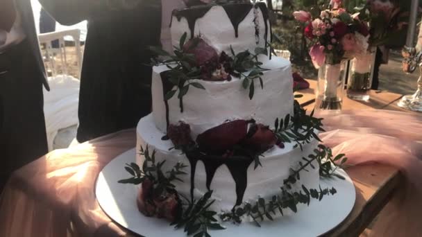 La novia y el novio en la boda cortan un hermoso pastel de tres niveles y distribuyen a los invitados — Vídeos de Stock