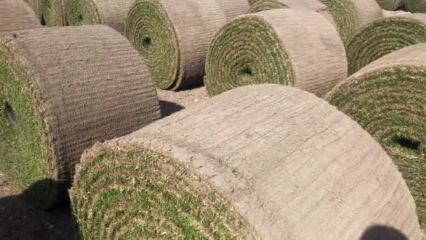 Many rolls of twisted green natural grass for a football field or garden. — Stock Video