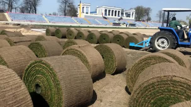 LVIV, UCRAINA - 14 APRILE 2019: Il processo di posa di un campo da calcio da rotolato di erba naturale verde ritorto — Video Stock