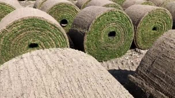Many rolls of twisted green natural grass for a football field or garden. — Stock Footage Many rolls of twisted green natural grass for a football field or garden. Stock Footage