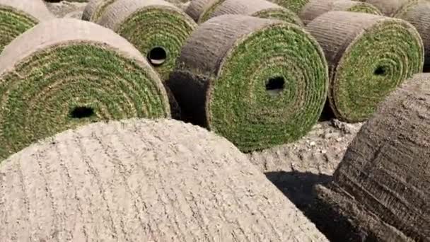 Veel rollen van gedraaide groene natuurlijke gras voor een voetbalveld of tuin. — Stockvideo