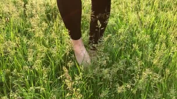Detailní záběr na bosé nohy dívky, která stojí v černých kalhotách na zelené trávě za slunečného dne a tře si nohu — Stock video