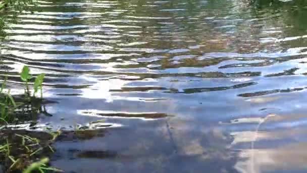 Gros plan sur l'eau bleue calme d'un lac. Mouvement lent . — Video