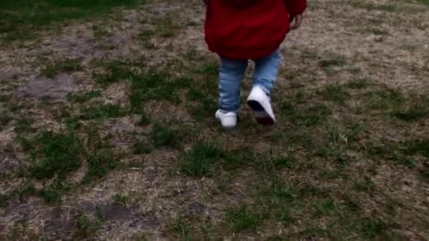 Niño pequeño en ropa roja disfrutando de caminar sobre hierba verde en el parque forestal de verano vista trasera de cerca bebé juguetón corriendo teniendo felicidad infancia al aire libre cámara lenta — Vídeos de Stock