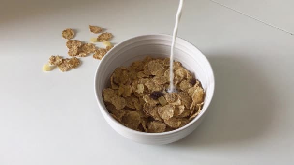 Lentement faire le petit déjeuner sain de flocons de maïs et de lait close-up 1920X1080 séquences HD - Les céréales et le lait frais se mélangent avec slow-mo 1080p Full HD vidéo 