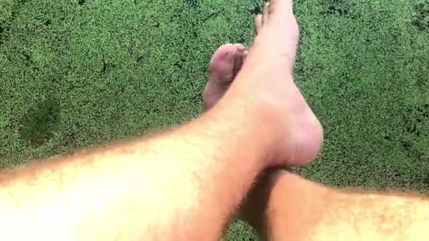 Верхний вид волосатых мужских ног, свисающих в солнечный день над болотом, покрытым уткой — стоковое видео