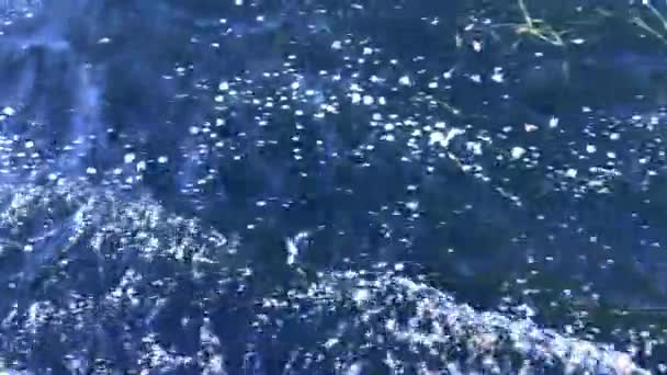 Kirli nehir yüzeyine su sıçratıyor. kirlilik kavramı. Hızlı hareket eden motorlu tekne arkasında su yüzeyinde Iz. Su dalgası arka planı — Stok video
