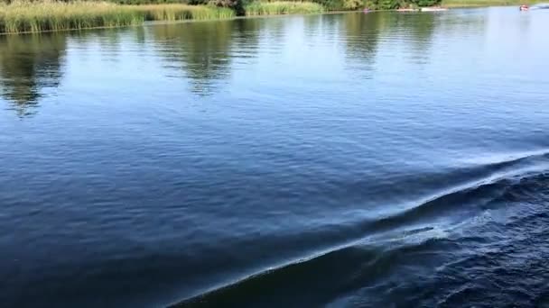 Pemandangan sungai dari sisi perahu. Sebuah perahu olahraga bergegas menuju — Stok Video