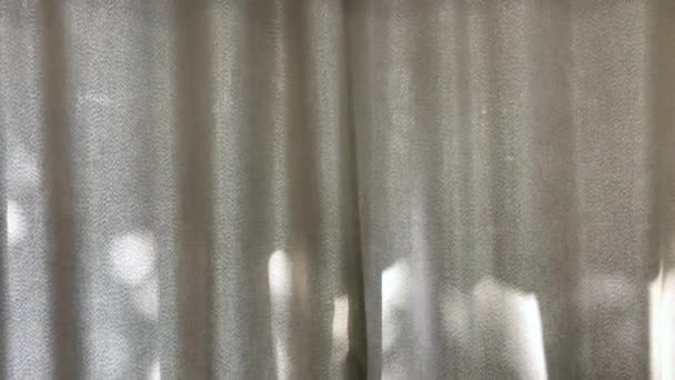 Мужская рука открывает занавески с видом на город касаясь солнечного света вручную в комнате дома . — стоковое видео