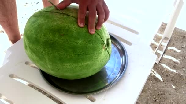 En man på en solig dag skär en vattenmelon och delar den med sina händer — Stockvideo