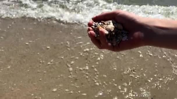 Muszla morska w ręce kobiet na plaży, piasek wylewanie w dół, letni dzień na plaży i wypoczynku koncepcji relaksu — Wideo stockowe