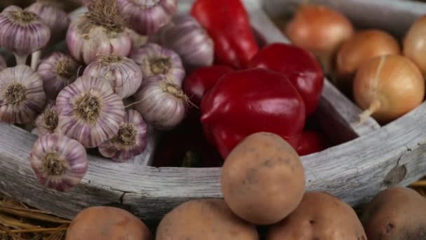 Färska grönsaker ligger på ett gammalt hjul i hö. Potatis, vitlök, lök, paprika. — Stockvideo