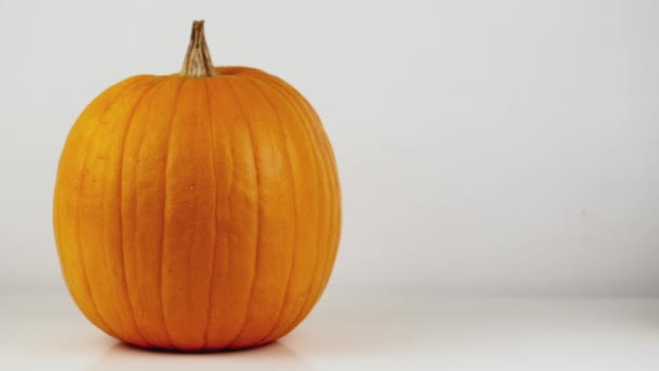 La calabaza grande está sobre la mesa. Una pequeña calabaza aparece en el costado. Sobre fondo blanco — Vídeo de stock