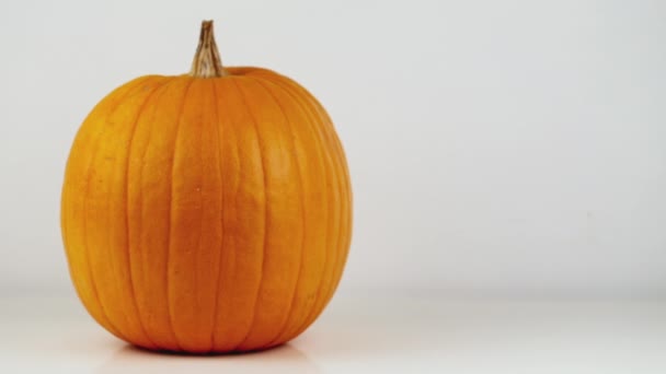 La calabaza grande está sobre la mesa. Una pequeña calabaza aparece en el costado. Sobre fondo blanco — Vídeo de stock