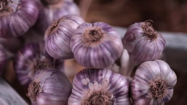 Close-up trossen van biologische knoflook op een marktplaats. Hele heleboel verse knoflook geplaatst op de markt. Kruidig culinair ingrediënt. — Stockvideo