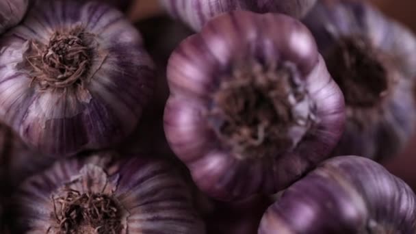 Großaufnahme-Büschel Bio-Knoblauch auf einem Marktplatz. ganze Bündel frischen Knoblauch auf den Markt gebracht. pikante kulinarische Zutat. — Stockvideo