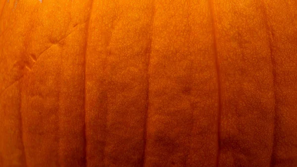 オレンジ色のカボチャのクローズアップ抽象的なテクスチャの背景 — ストック写真