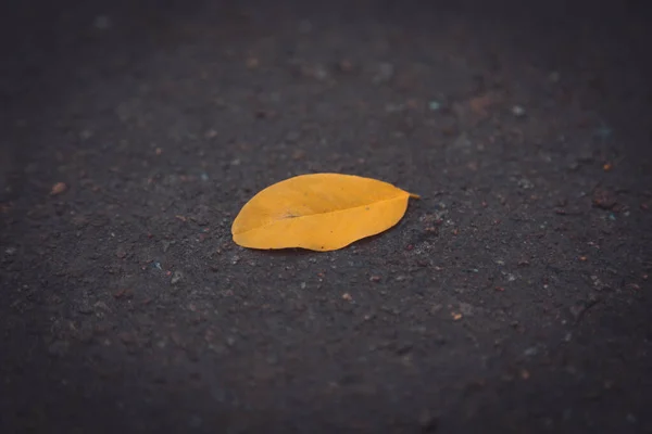 Feuille jaune d'automne sur la vieille route grunge, mise au point sélective vue de côté — Photo