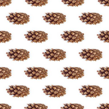 Beyaz arka planda ağaç konisi soyut, pürüzsüz bir desen. C