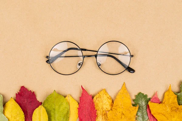 Flat lay photo with glasses and dry male leafs on white backgrou — Stock Photo, Image