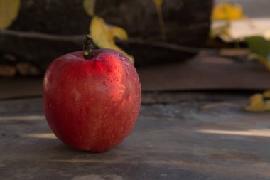 Kırmızı Elma metalik bir zemine serilmiş.