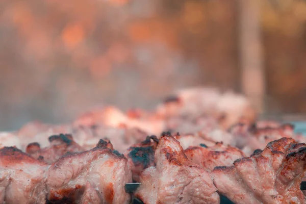 Close-up Shish kebab on skewers and hot coals with smoke. — Stock Photo, Image