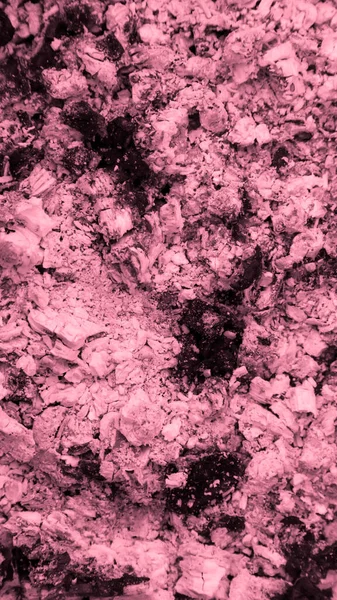 Светло-розовый Абстрактные вертикальные текстуры Пепельное дерево фона closeu — стоковое фото