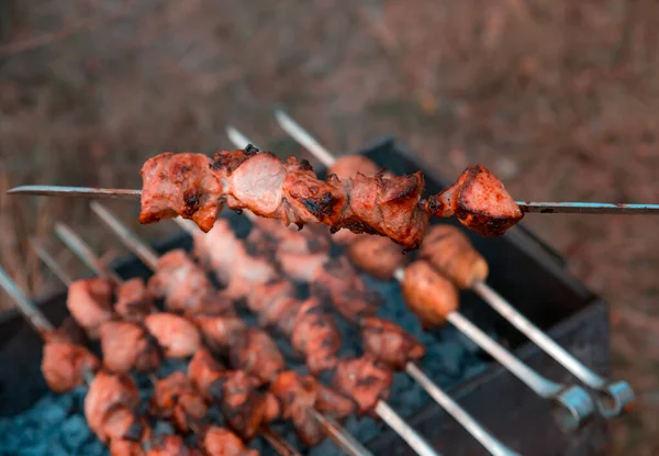 Man frying shish kebab on the grill. Hands closeup outdoors. — Stock Photo, Image