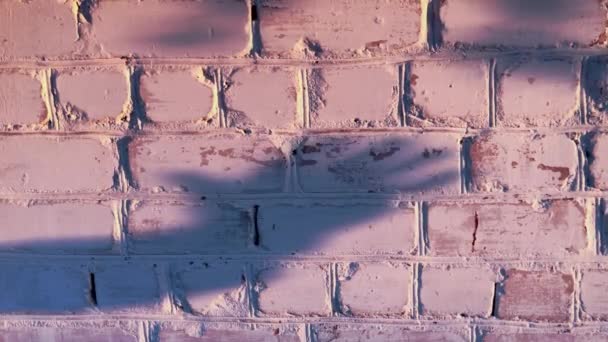 Ein Handschatten auf der Backsteinmauer bei Sonnenuntergang. Palmensilhouette mit ausgestreckten Fingern als Grußsymbol. — Stockvideo