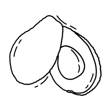 Avokado dilimi Vektör el çizimi vektör çizimi. Tropikal yaz meyvesi oyma stili. Ayrıntılı yemek çizimi. Etiket, poster, baskı için harika.