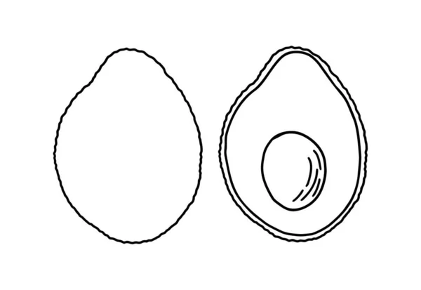 Fatia Abacate Ilustração Vetorial Desenhada Mão Vetorial Frutas Tropicais Verão — Vetor de Stock
