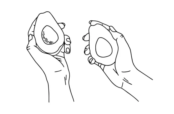 Outline Hand Heeft Een Avocado Een Geïsoleerde Achtergrond Gezond Ontbijt — Stockvector