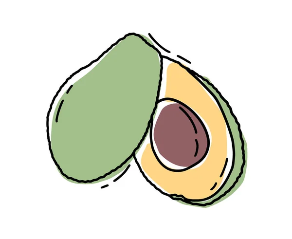 Avocat Tranche Vectoriel Dessiné Main Illustration Vectorielle Fruits Tropicaux Été — Image vectorielle