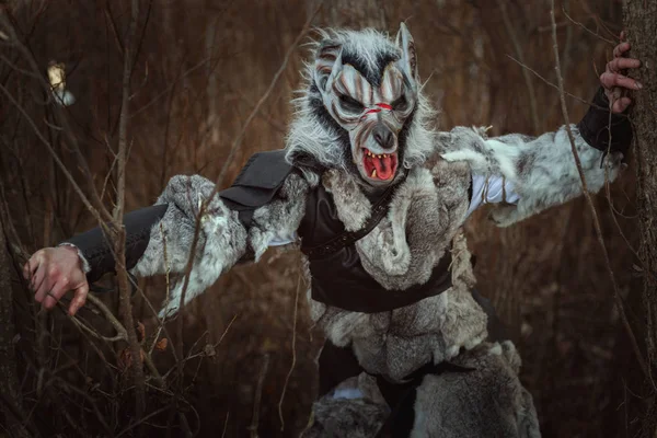 Criatura Assustadora Como Lobo Humano Floresta Entre Árvores — Fotografia de Stock
