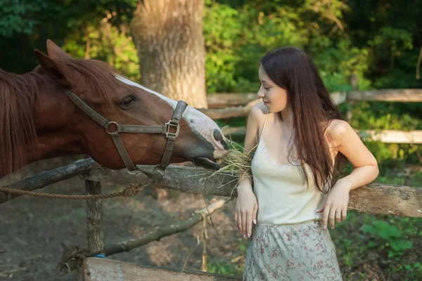 Jovem mulher alimenta o cavalo . — Fotografia de Stock