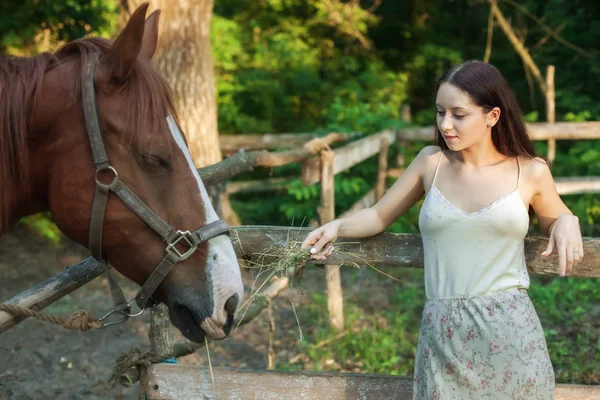 Mulher no rancho e alimenta o cavalo . — Fotografia de Stock