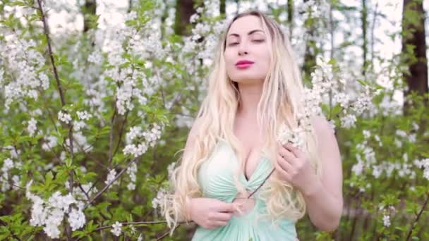 若い美しい女性は開花茂みの中に立って笑顔 — ストック動画