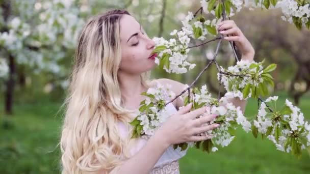 Vacker Ung Kvinna Blommig Trädgård Hon Smeker Och Kysser Knopparna — Stockvideo