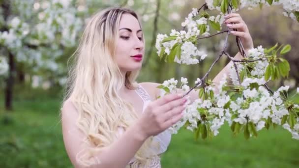 Bella Donna Bionda Che Accarezza Ramo Albero Con Boccioli Fiori — Video Stock