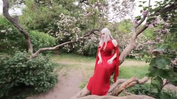 Mooi Elf Meisje Een Magische Tuin Zit Een Lila Boom — Stockvideo