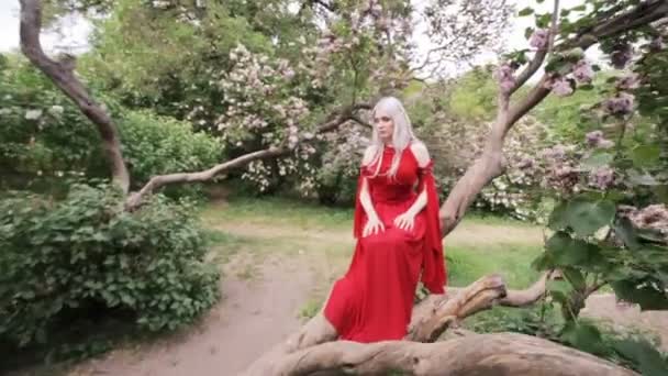 Menina Bonita Elfo Sentado Uma Árvore Jardim Mágico Lilases Florescendo — Vídeo de Stock