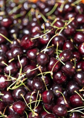 Taze kırmızı kirazlar. Tecavüz kirazları. Yakın plan. Kiraz Meyvesi.