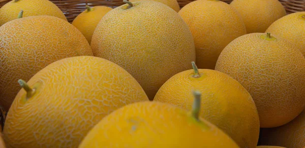 Gele Rijpe Meloenen Close Meloenen Uit Tuin — Stockfoto