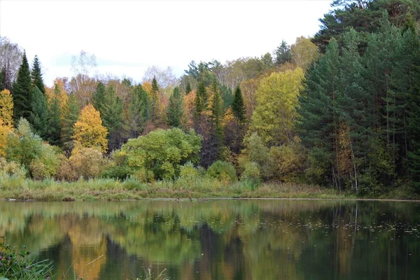 Belo Lago Floresta Outono — Fotografia de Stock