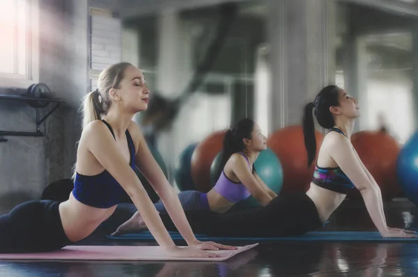 Gençlerin Grup Yoga Dersi Kadınlar Bir Spor Salonunda Kendi Yoga Stok Fotoğraf