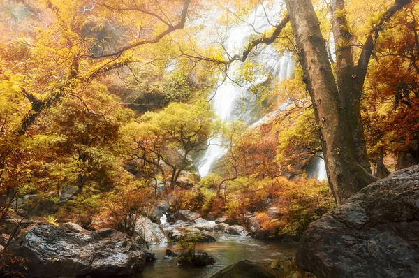 Amazing Nature Beautiful Waterfall Colorful Autumn Forest Fall Season Image — Stock Photo, Image