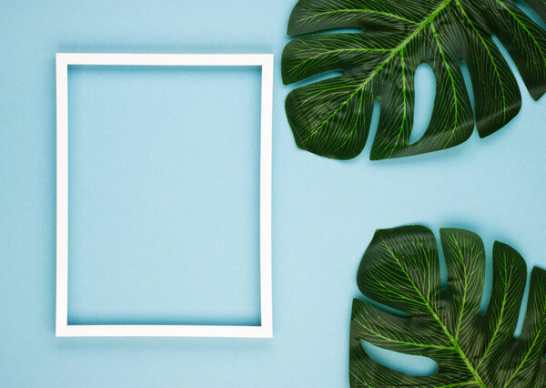 Empty white frame and tropical leaves on a blue pastel background with a copy of the space. Filter with a soft effect. Minimal concept.