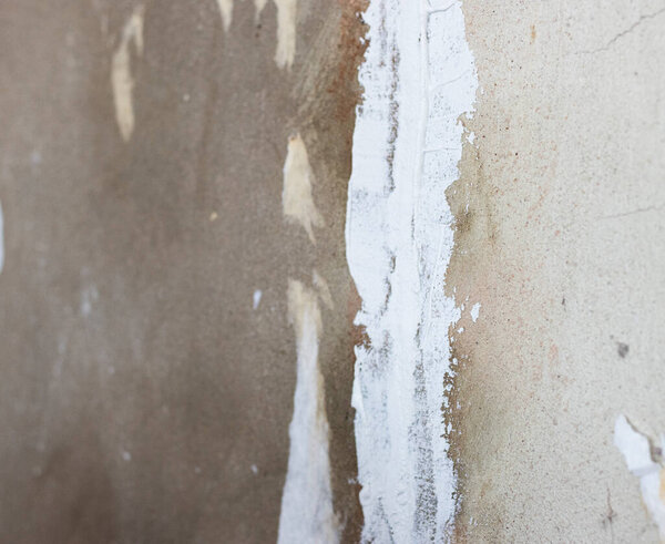 plastered wall with white putty paste. sealing of walls. the concept of repair